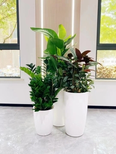 海曙绿化修剪服务好